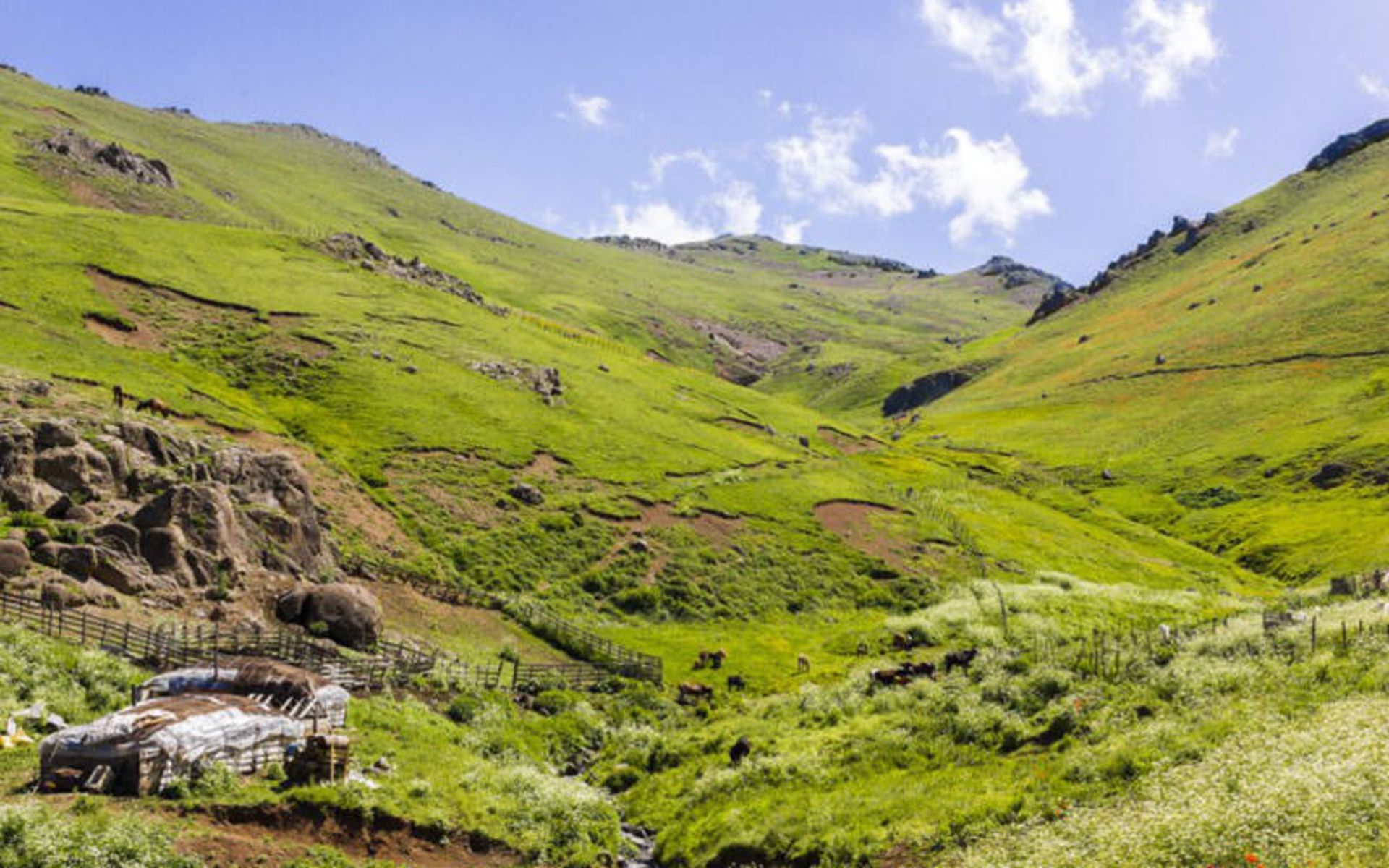 پیاده گردی در ایران