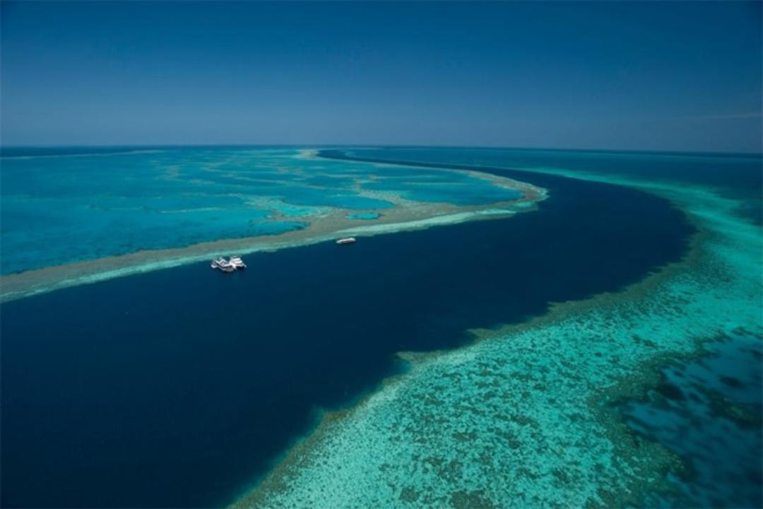 Hamilton Island Yacht Charter