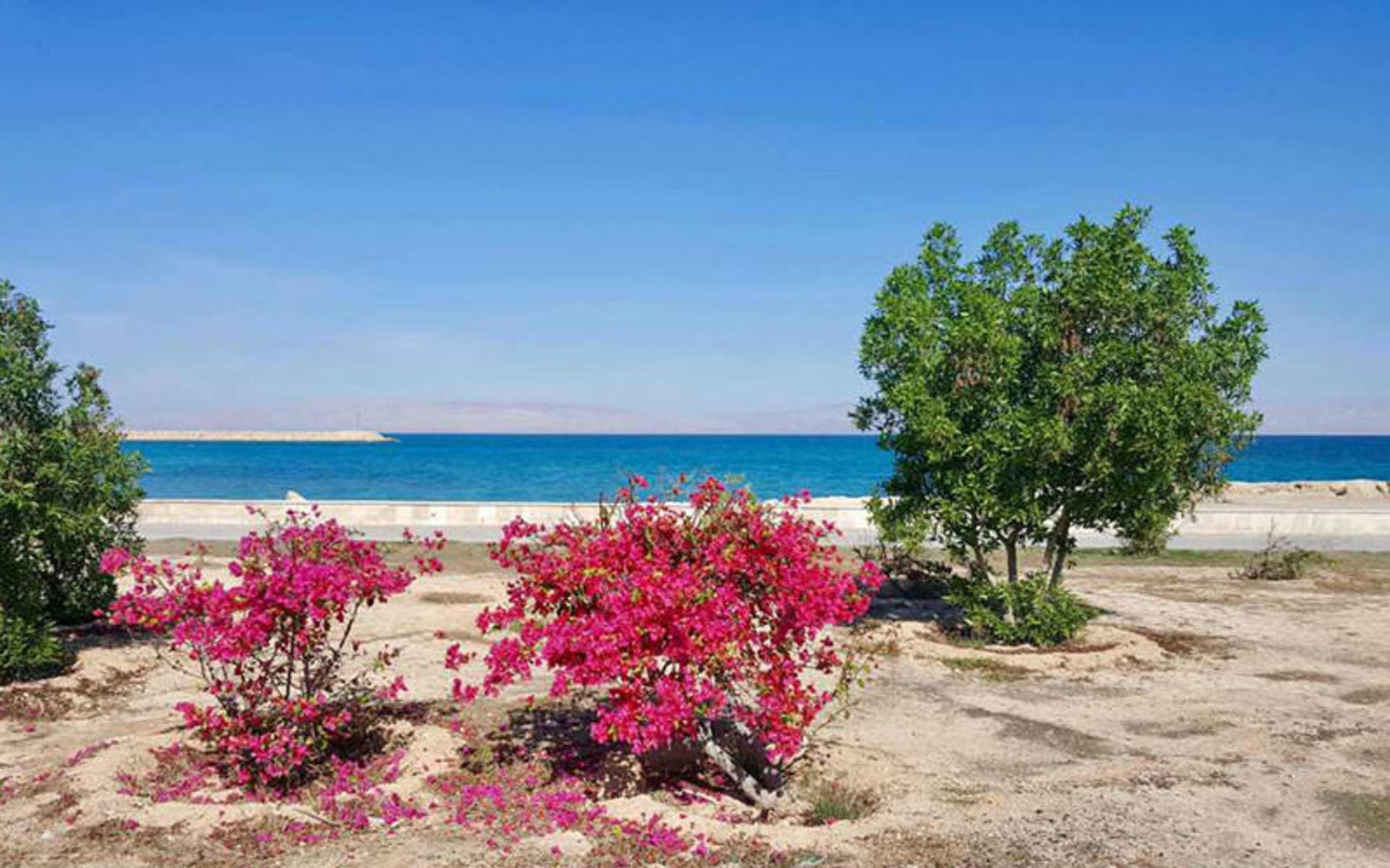 جزیره کیش