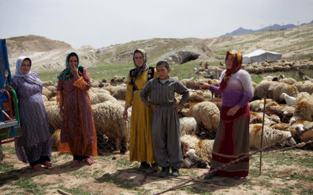 کمپ زدن در ایران