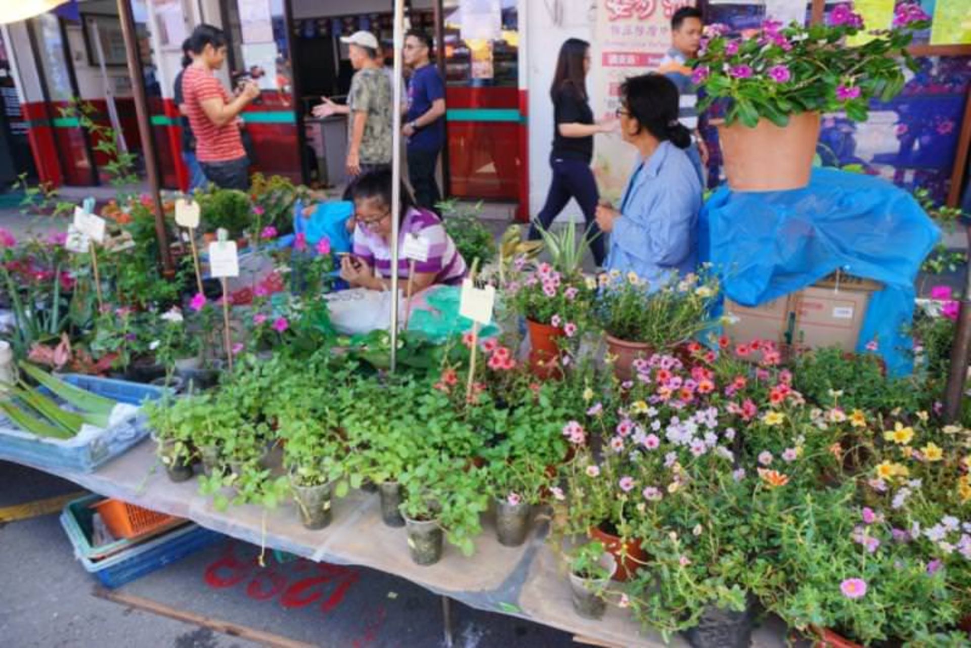 بهترین بازارهای مالزی