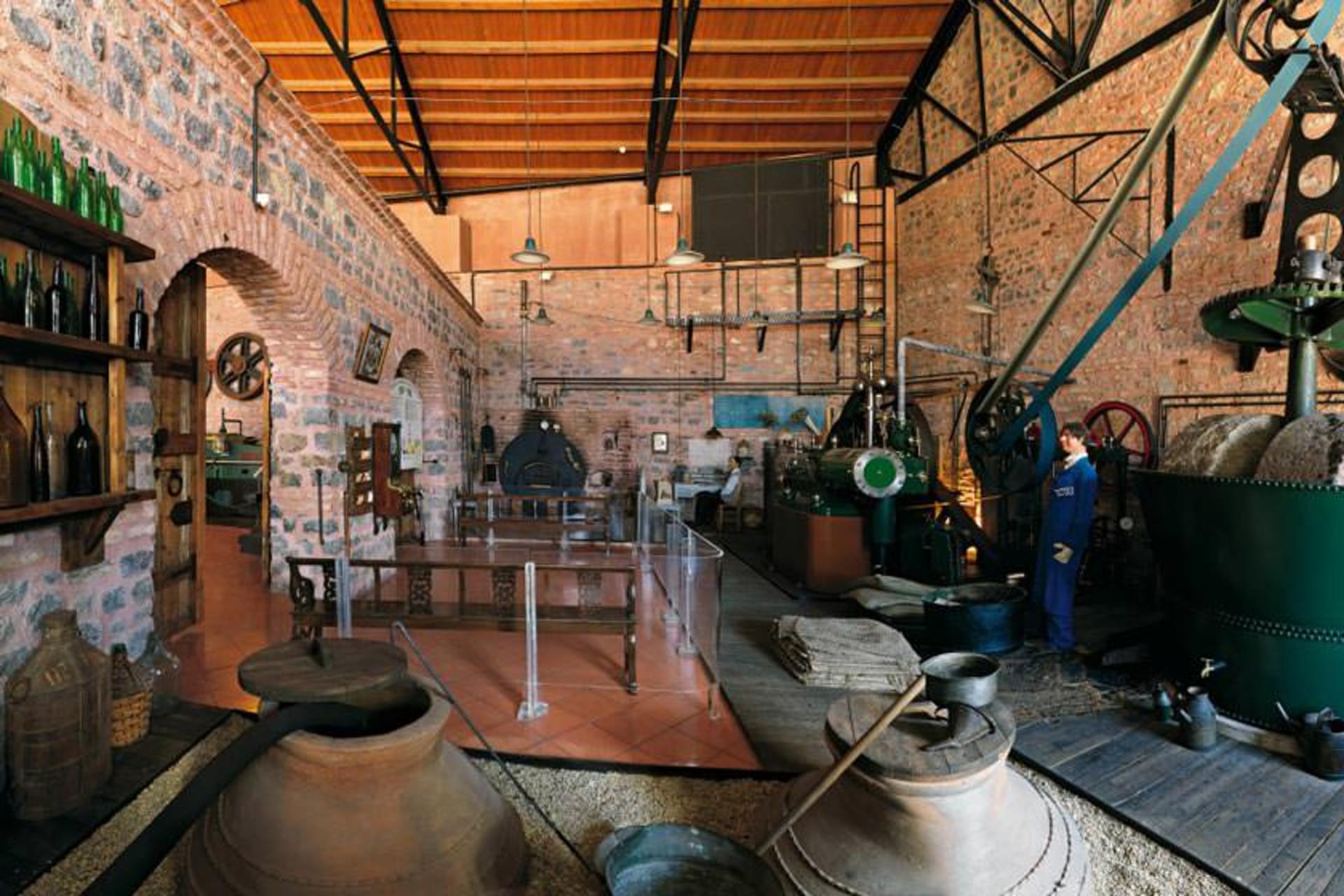 موزه رحمی کوچ