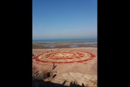 ساحل سنگ مرغان