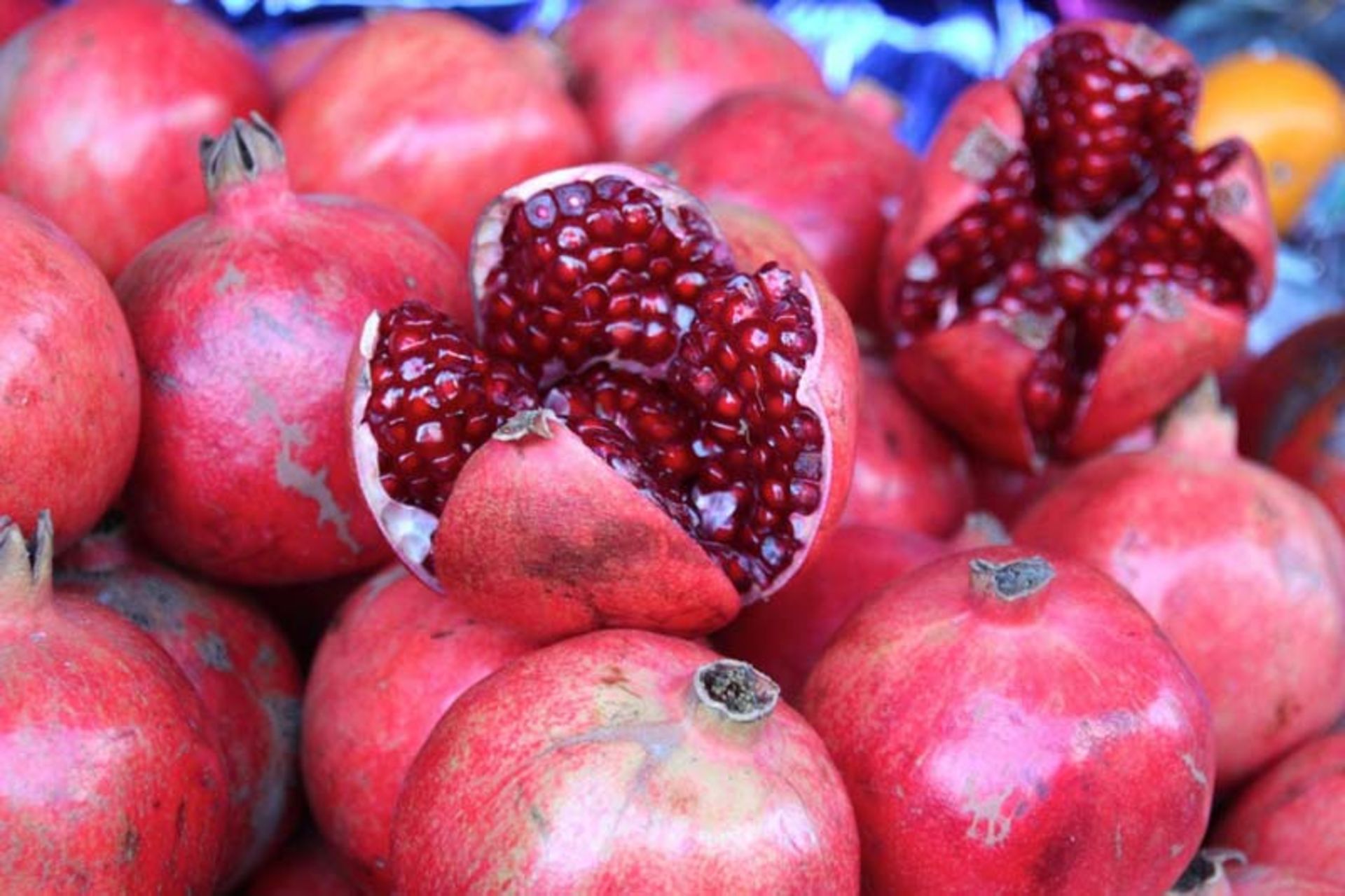 جسنواره انار جمهوری آذربایجان