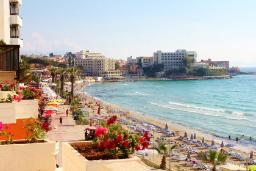 ساحل بانوان