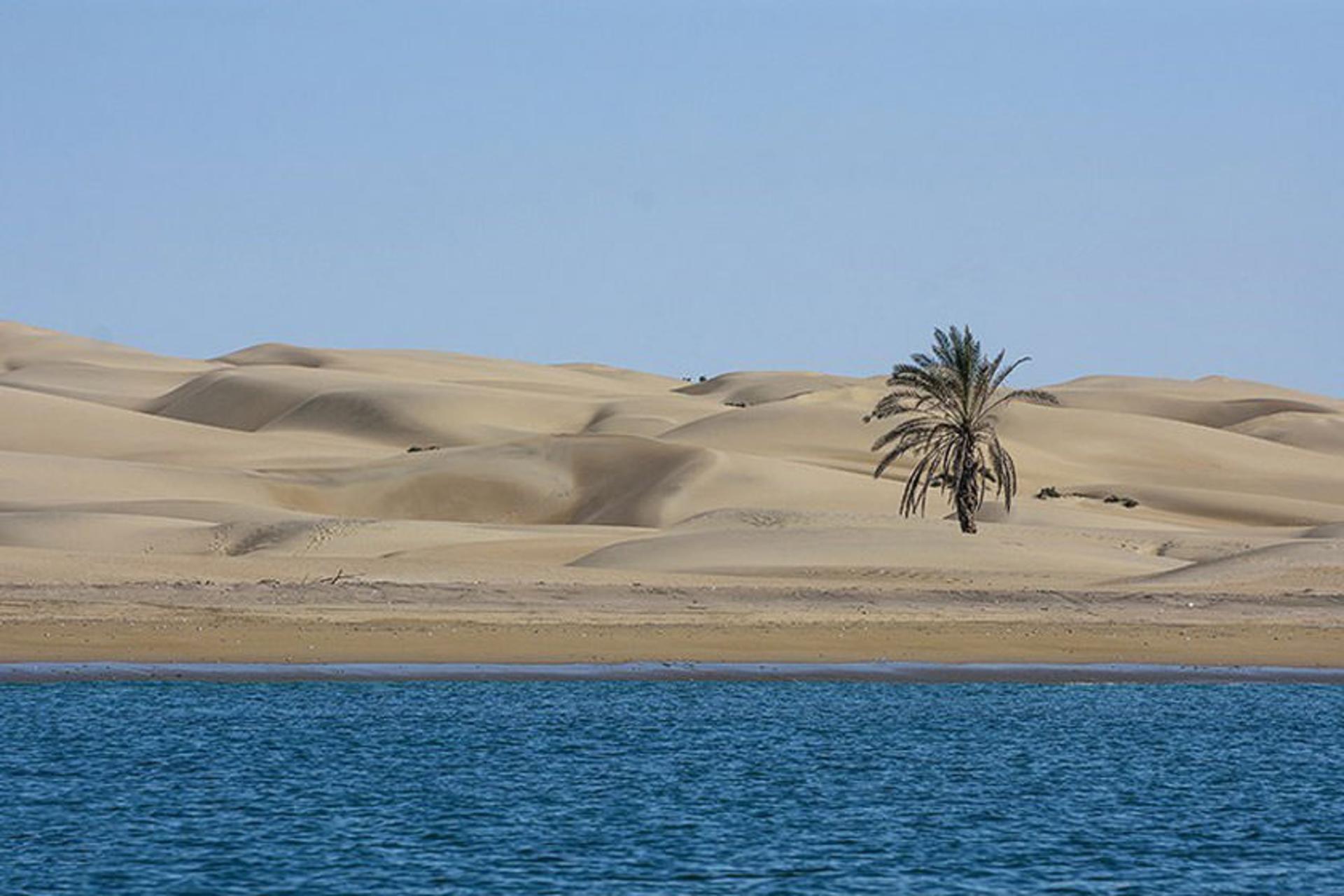 درک