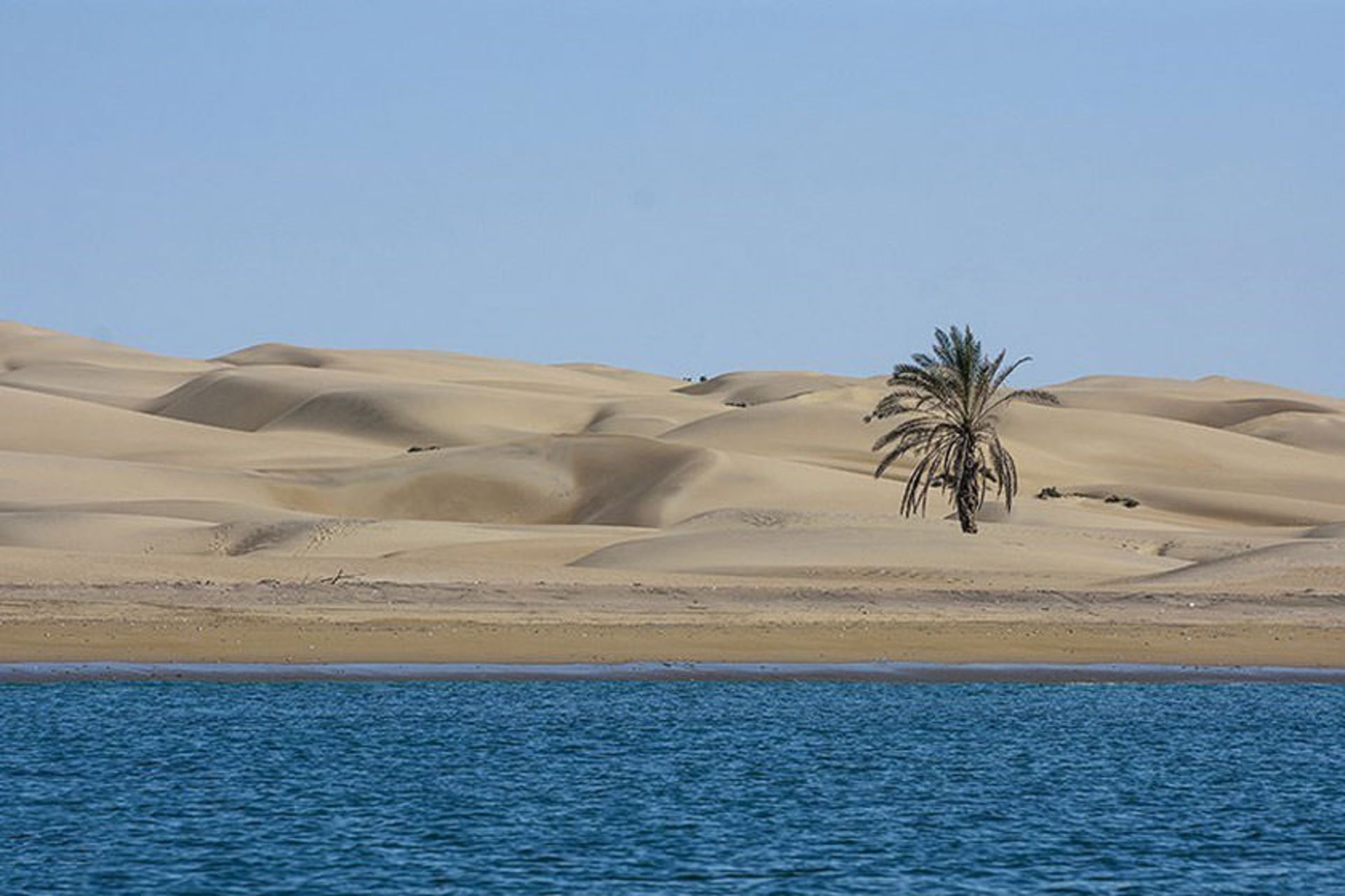 درک