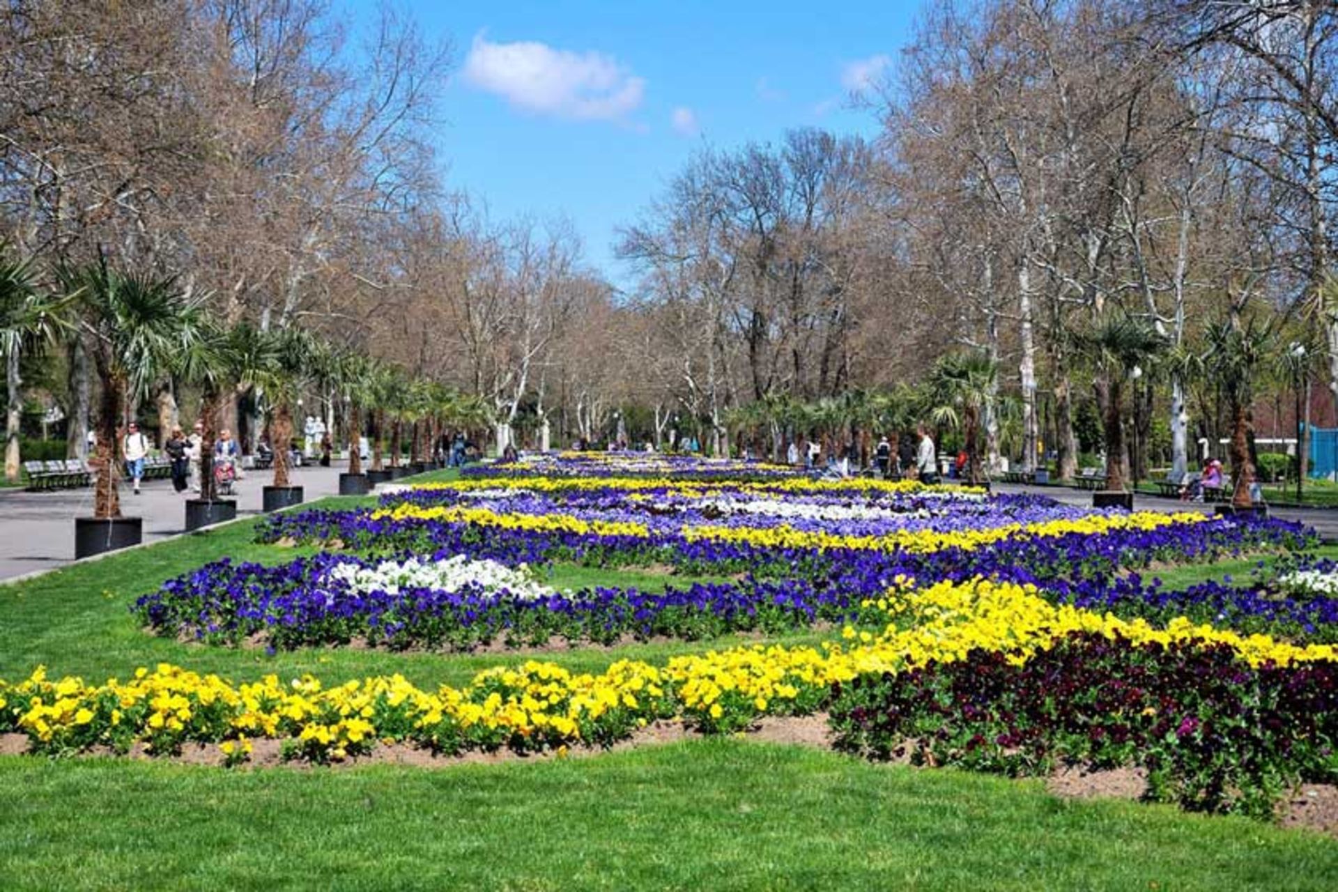 باغ دریایی بورگاس