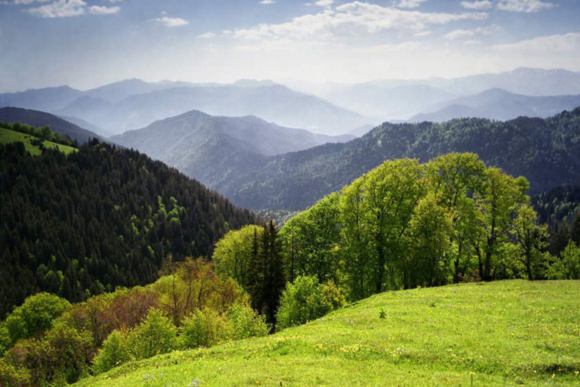 مسیرهای پیاده روی گرجستان