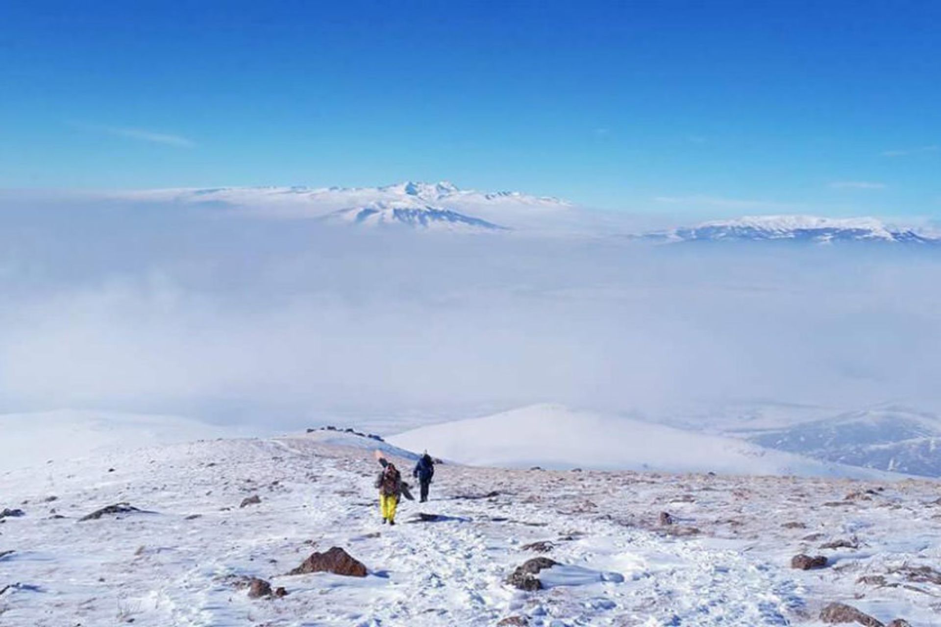 کوه آرگاتس