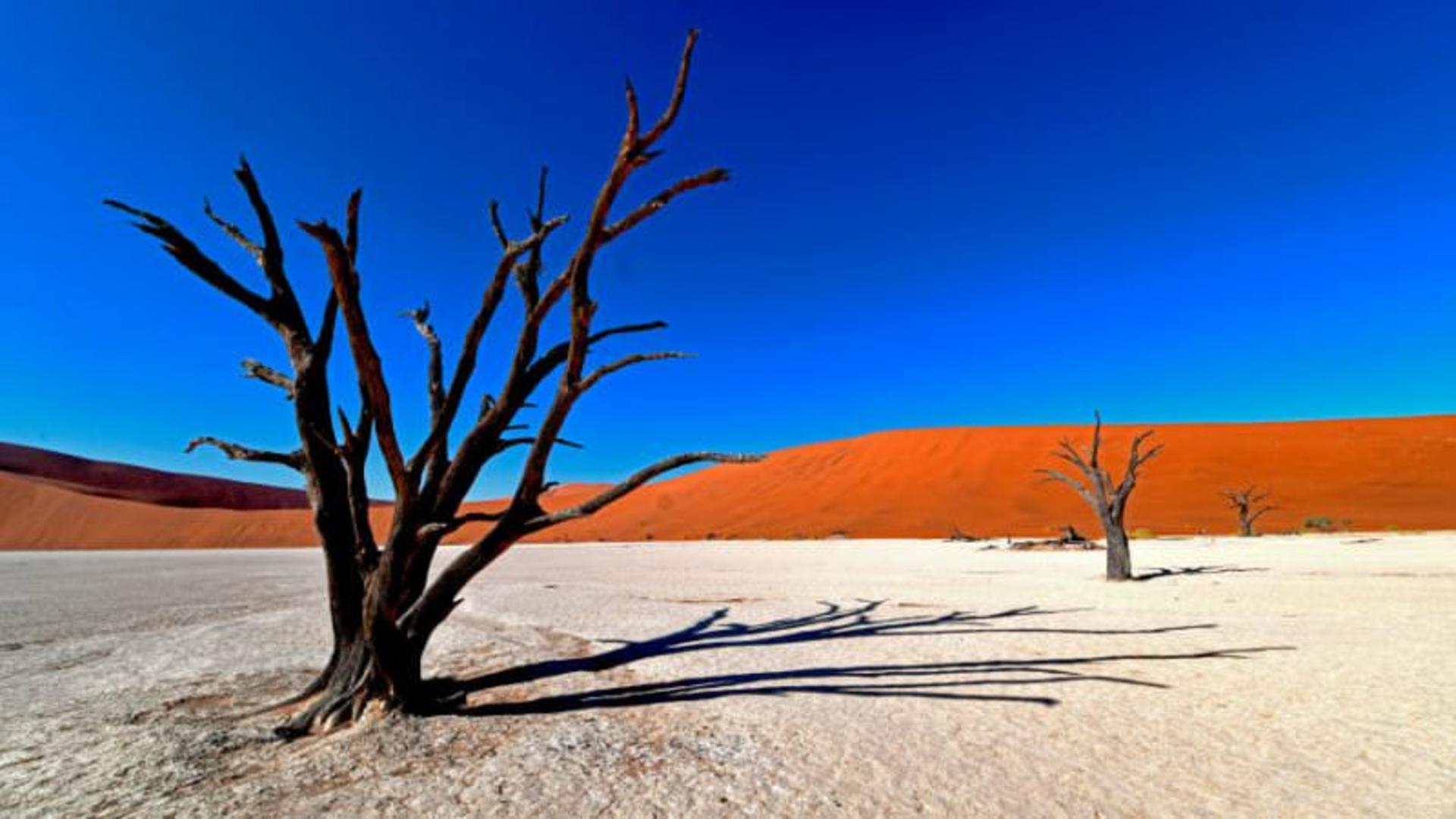 عجیب ترین مناظر و چشم اندازهای دنیا