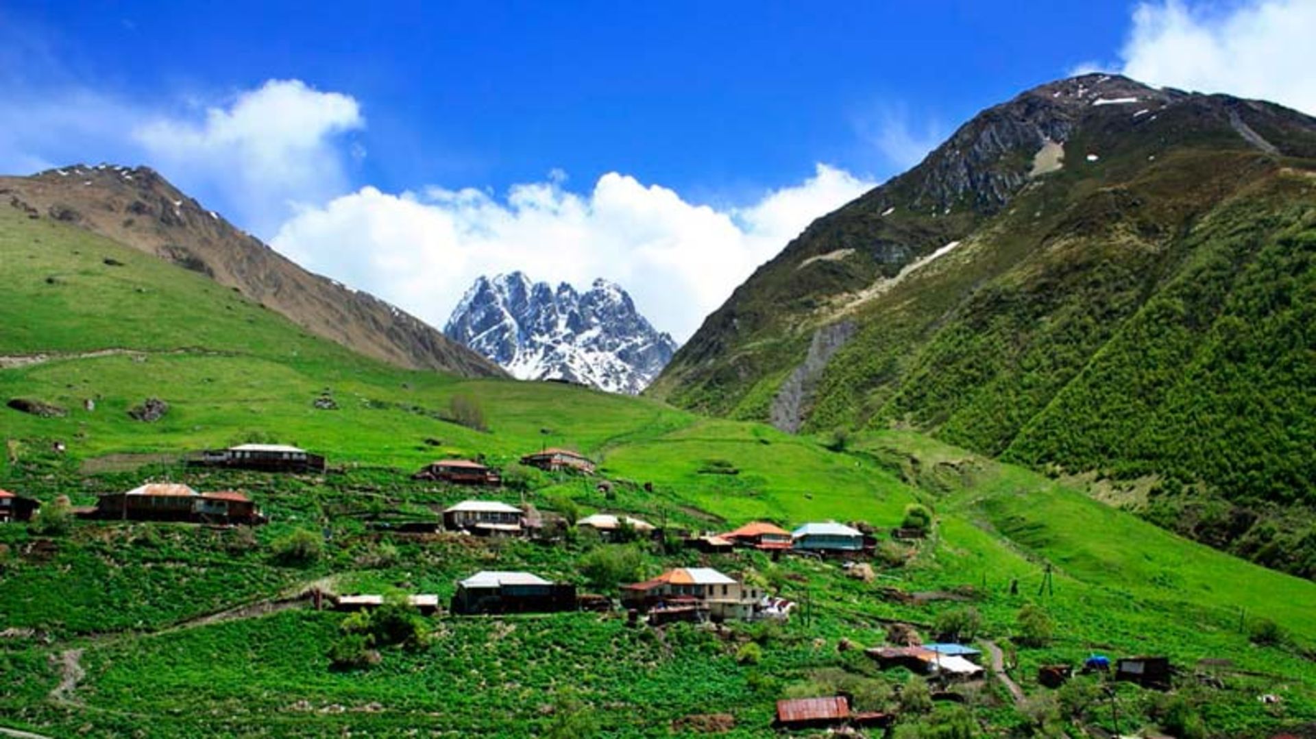 جوتا گرجستان