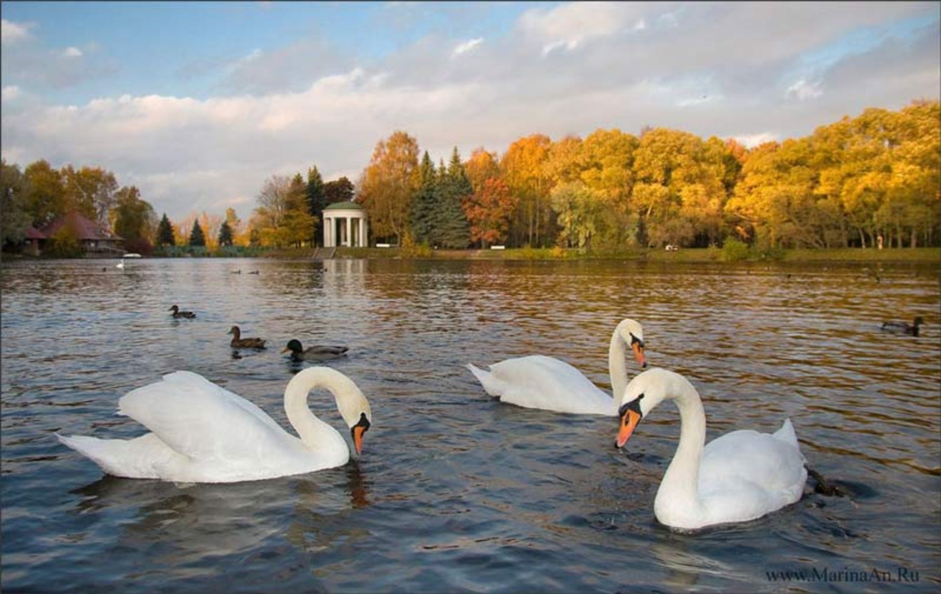 جزیره کرستوسکی (Krestovsky) سن پترزبوگ