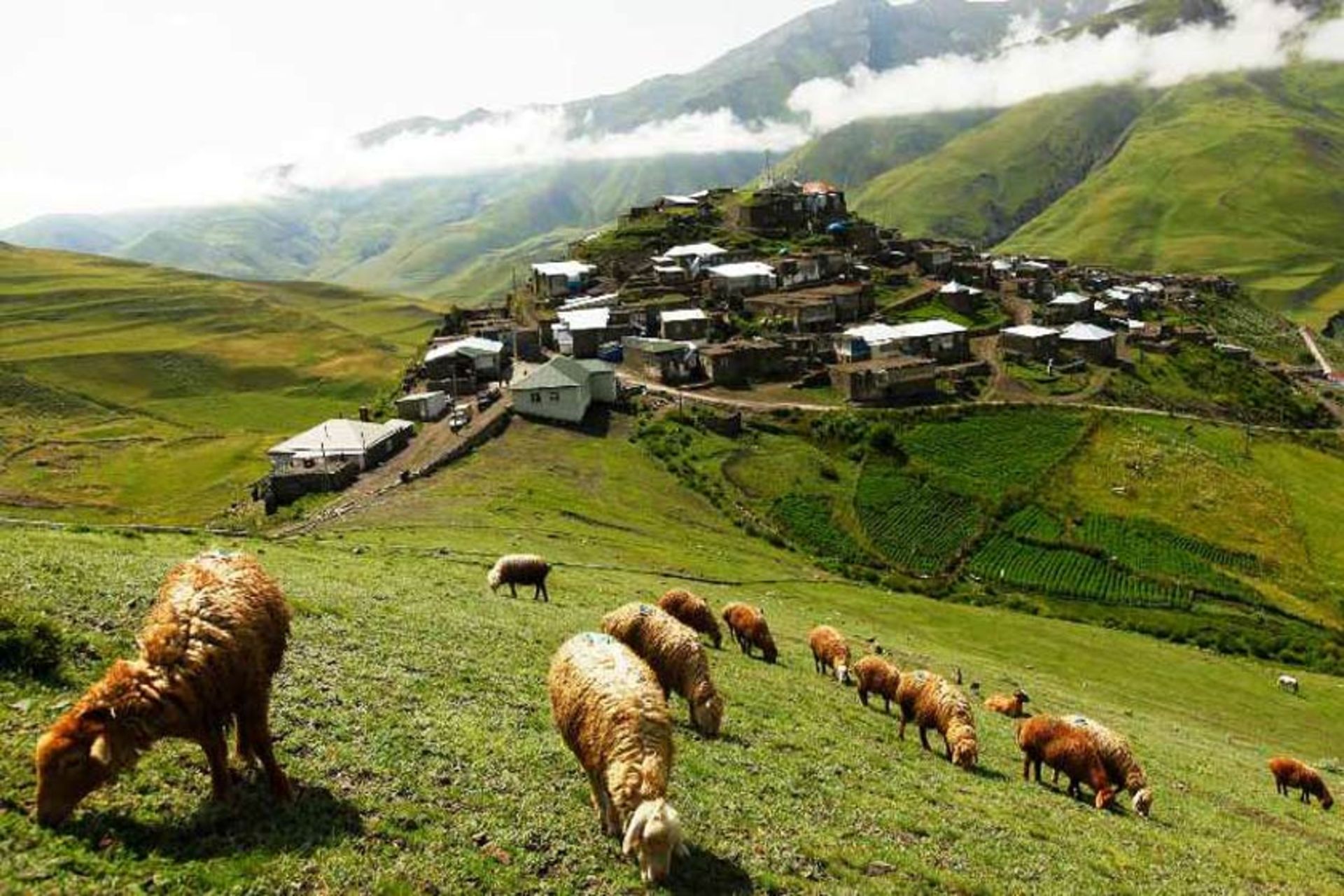 قوبا جمهوری آذربایجان