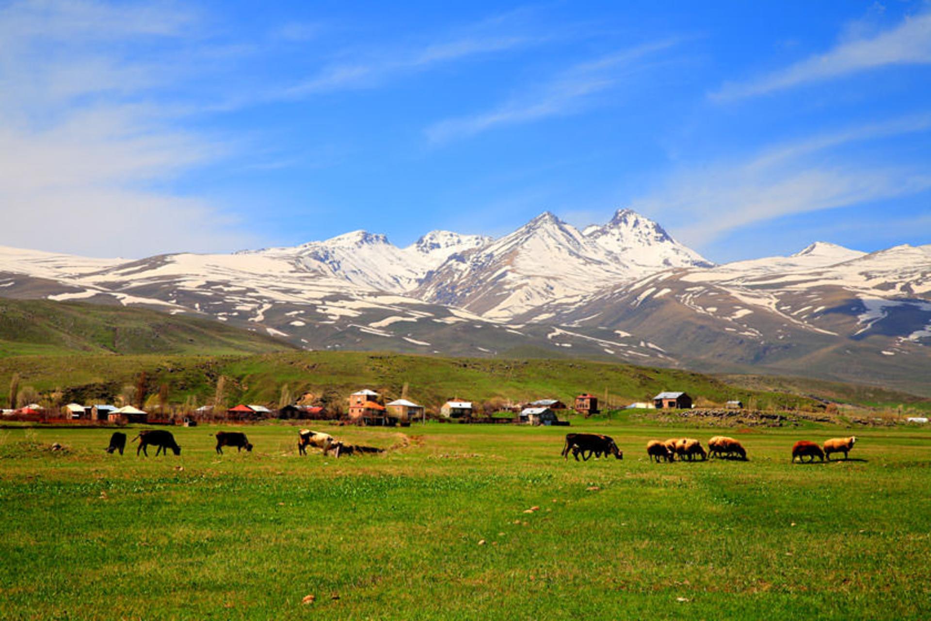 کوه آرگاتس