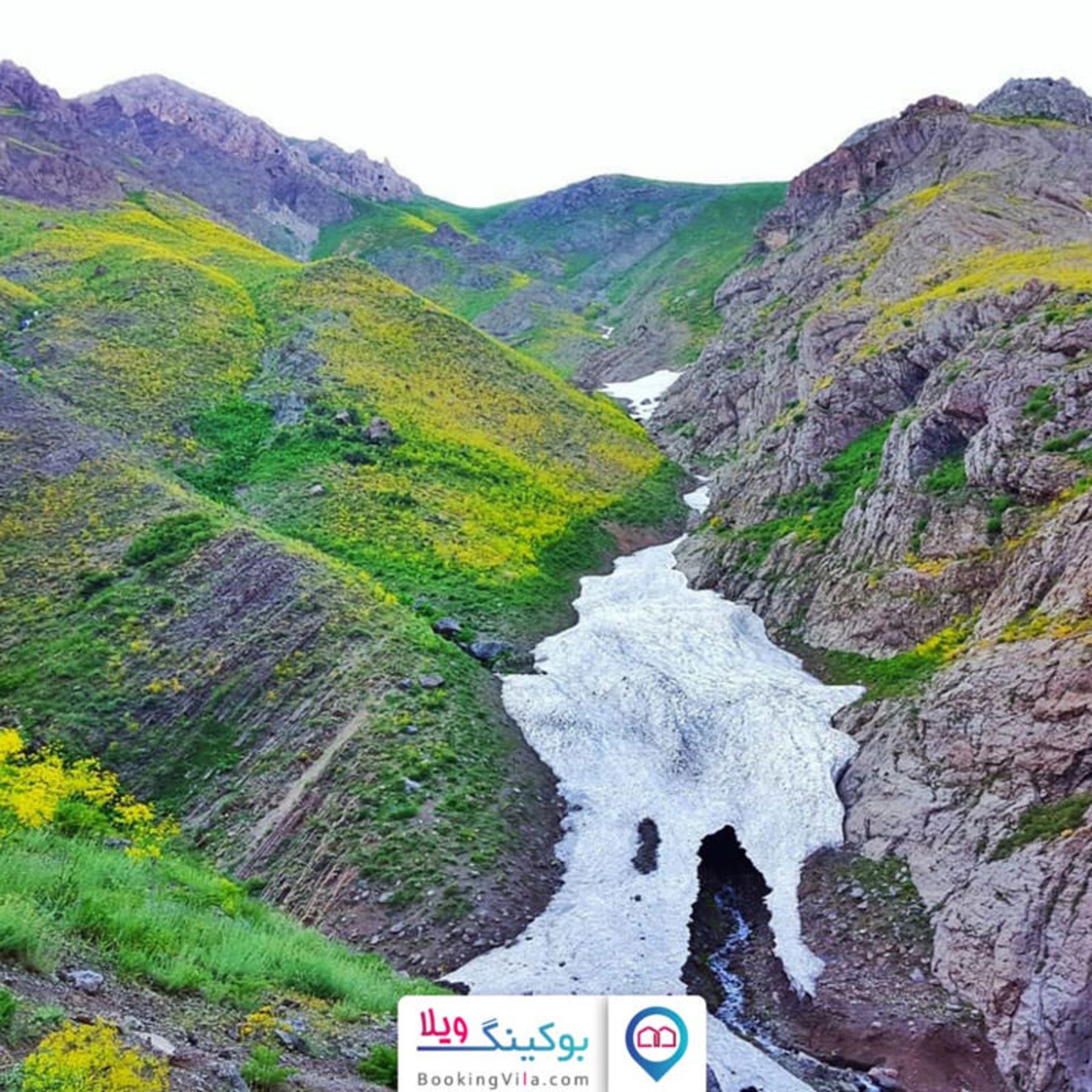 بوکینگ ویلا