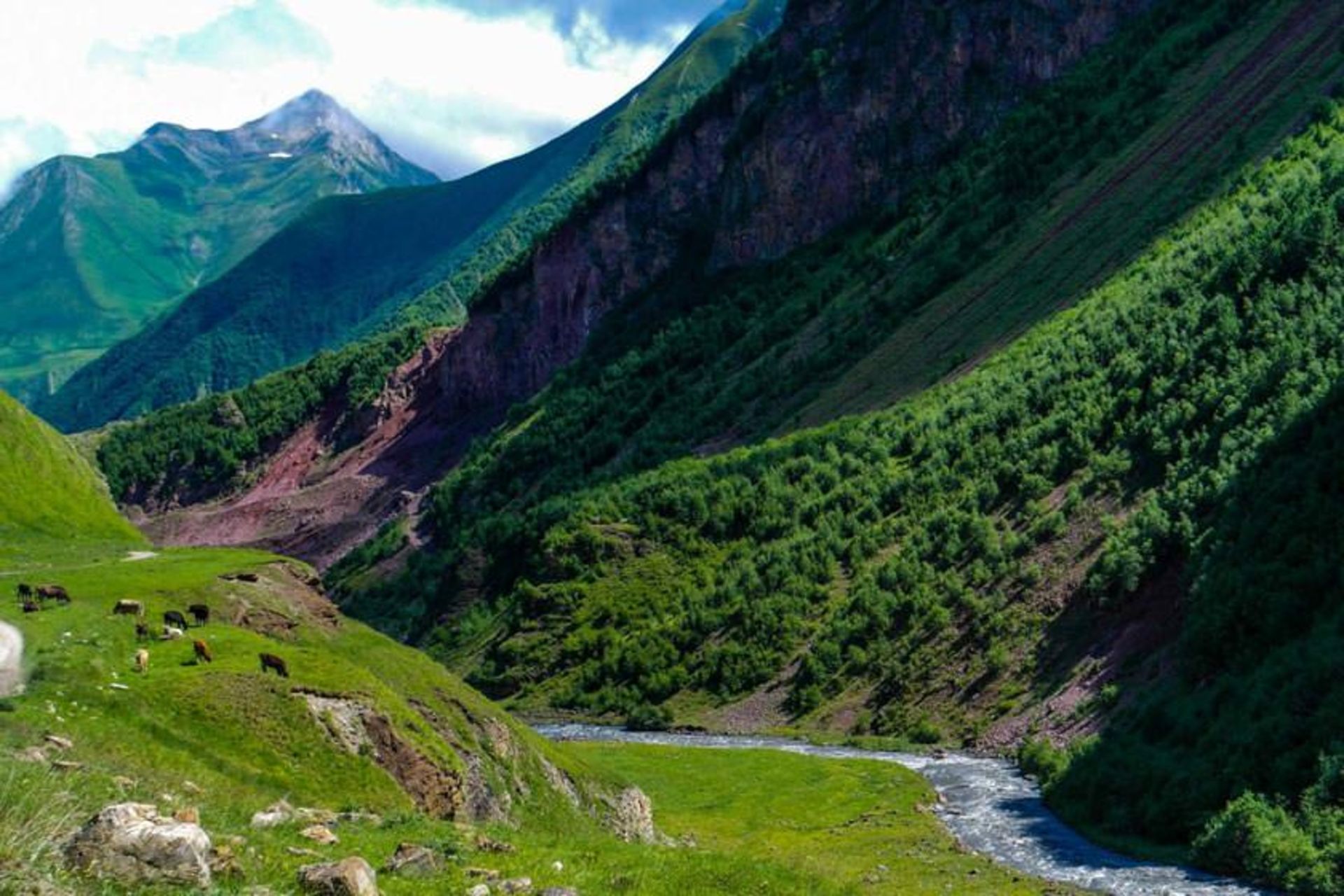 دره ترسو