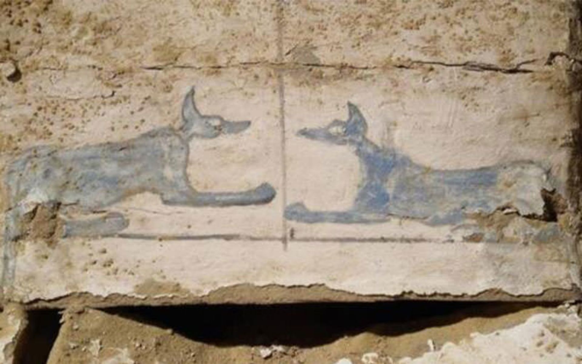 مصر