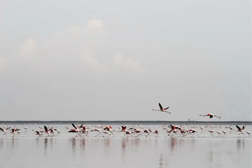 تالاب پته‌ خور
