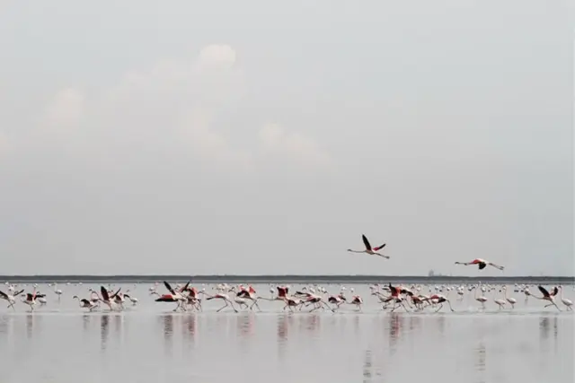 تالاب پته‌ خور