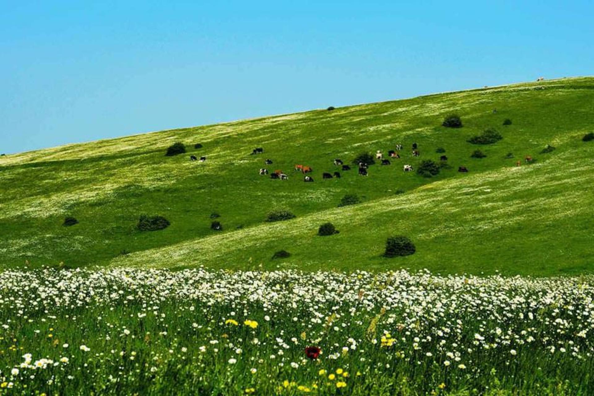پیست اسکی فندقلو