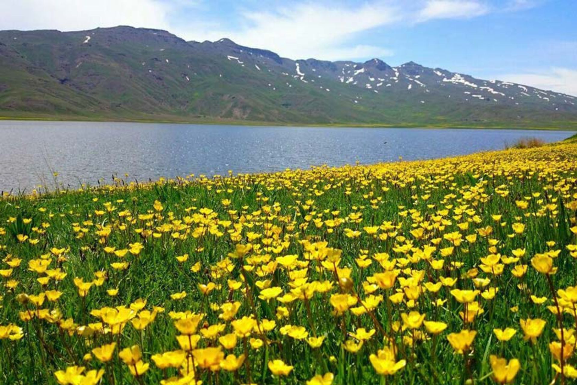 رشته کوه باغرو