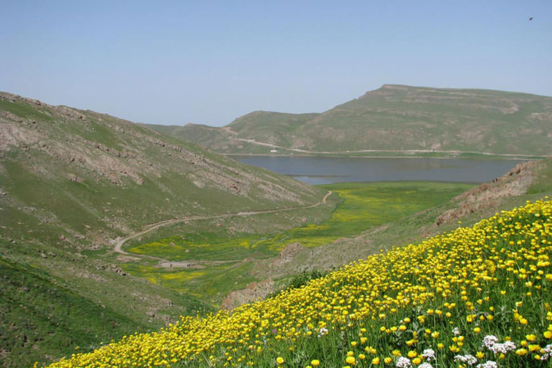 رشته کوه باغرو