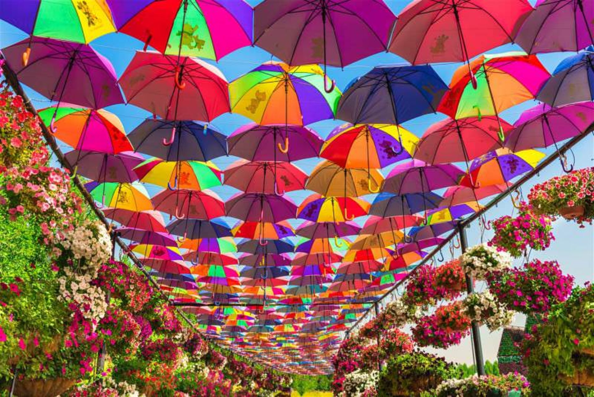 بهترین نقاط دبی برای ثبت زیباترین تصاویر اینستاگرام