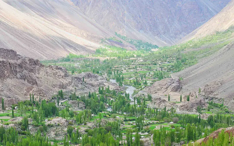 پاکستان
