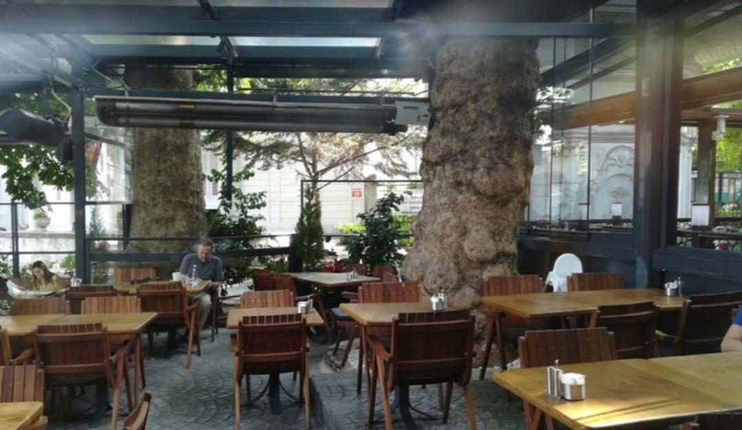 کافه امیرگان چنارالتی (Emirgan Cinaraltı Cafe)