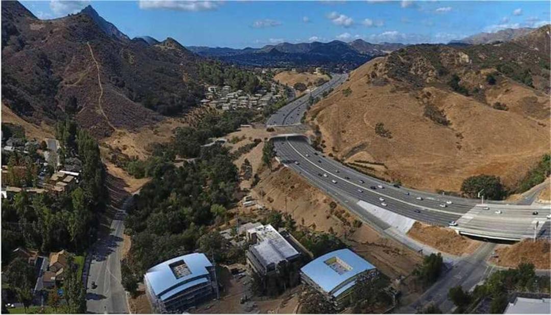 گذرگاه حیوانات کالیفرنیا