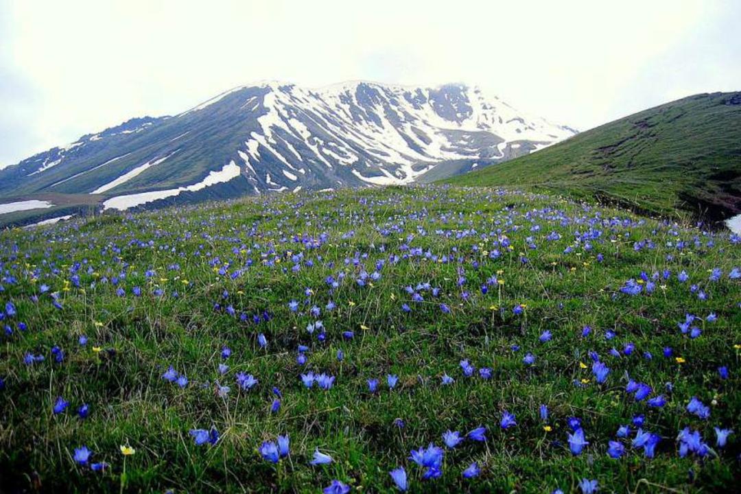 ۱۰ فرصت عالی برای طبیعت گردی یک روزه در گرجستان