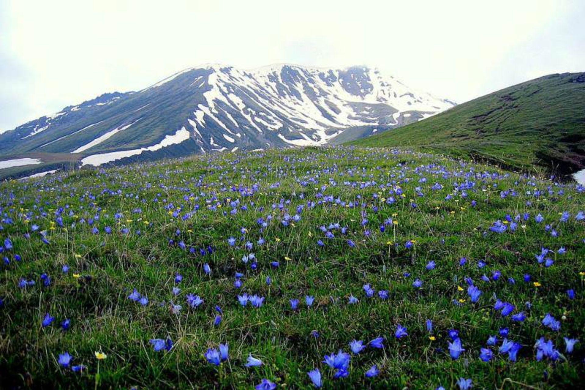۱۰ فرصت عالی برای طبیعت گردی یک روزه در گرجستان