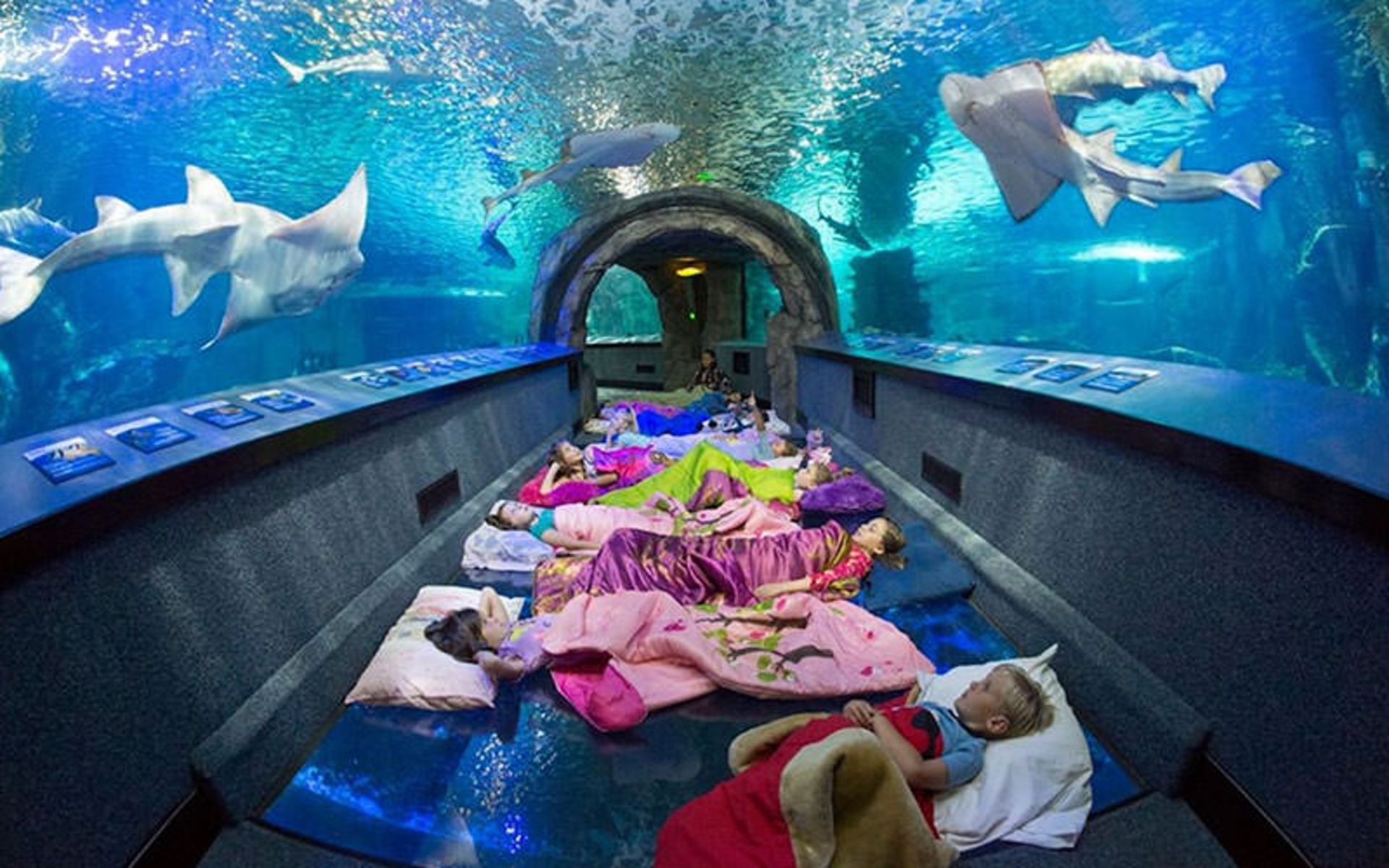 آکواریوم نیوپورت