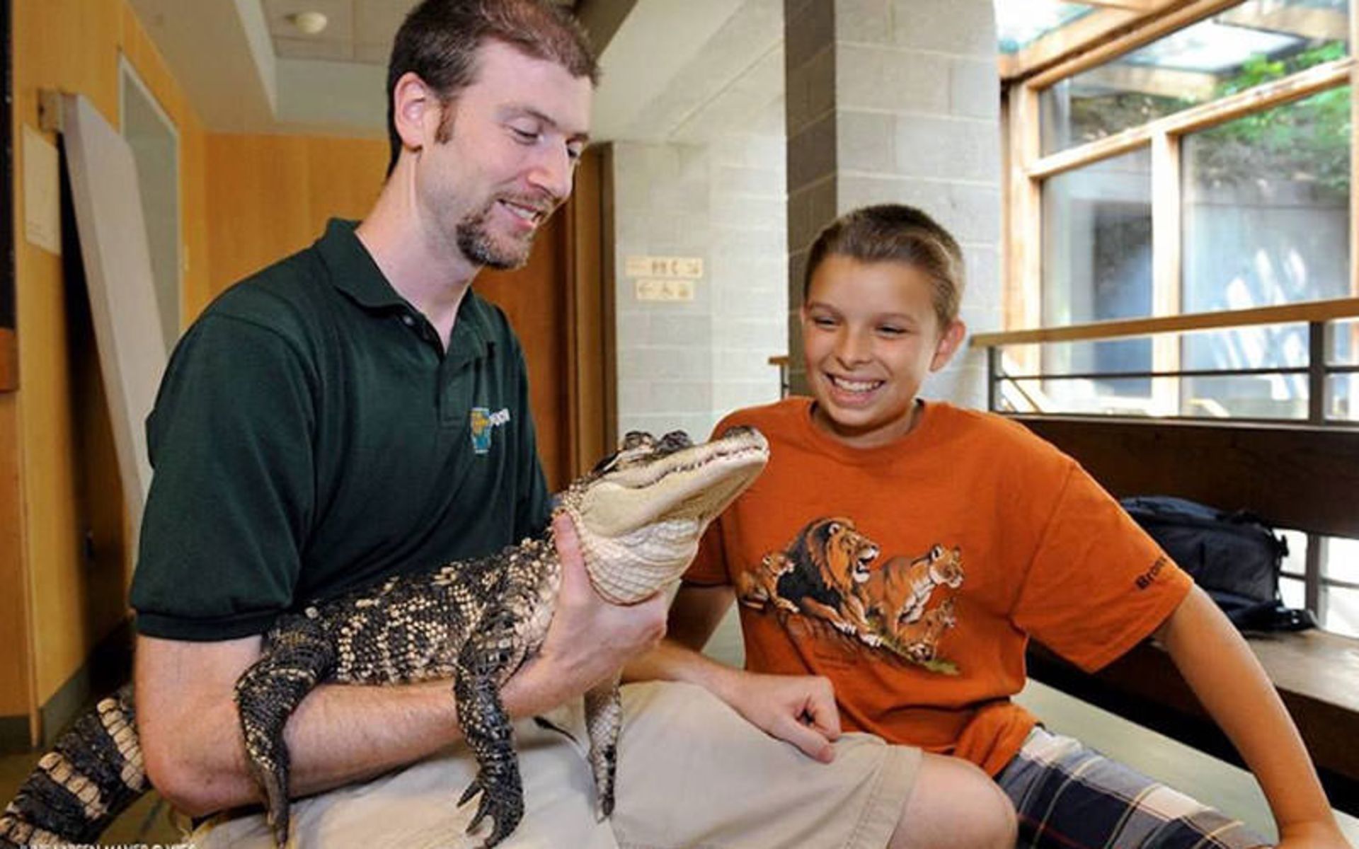 باغ وحش برانکس