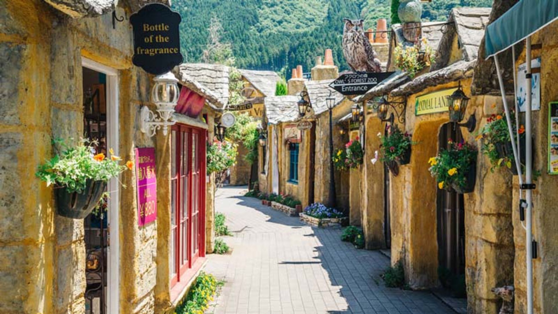 یوفوئین، ژاپن