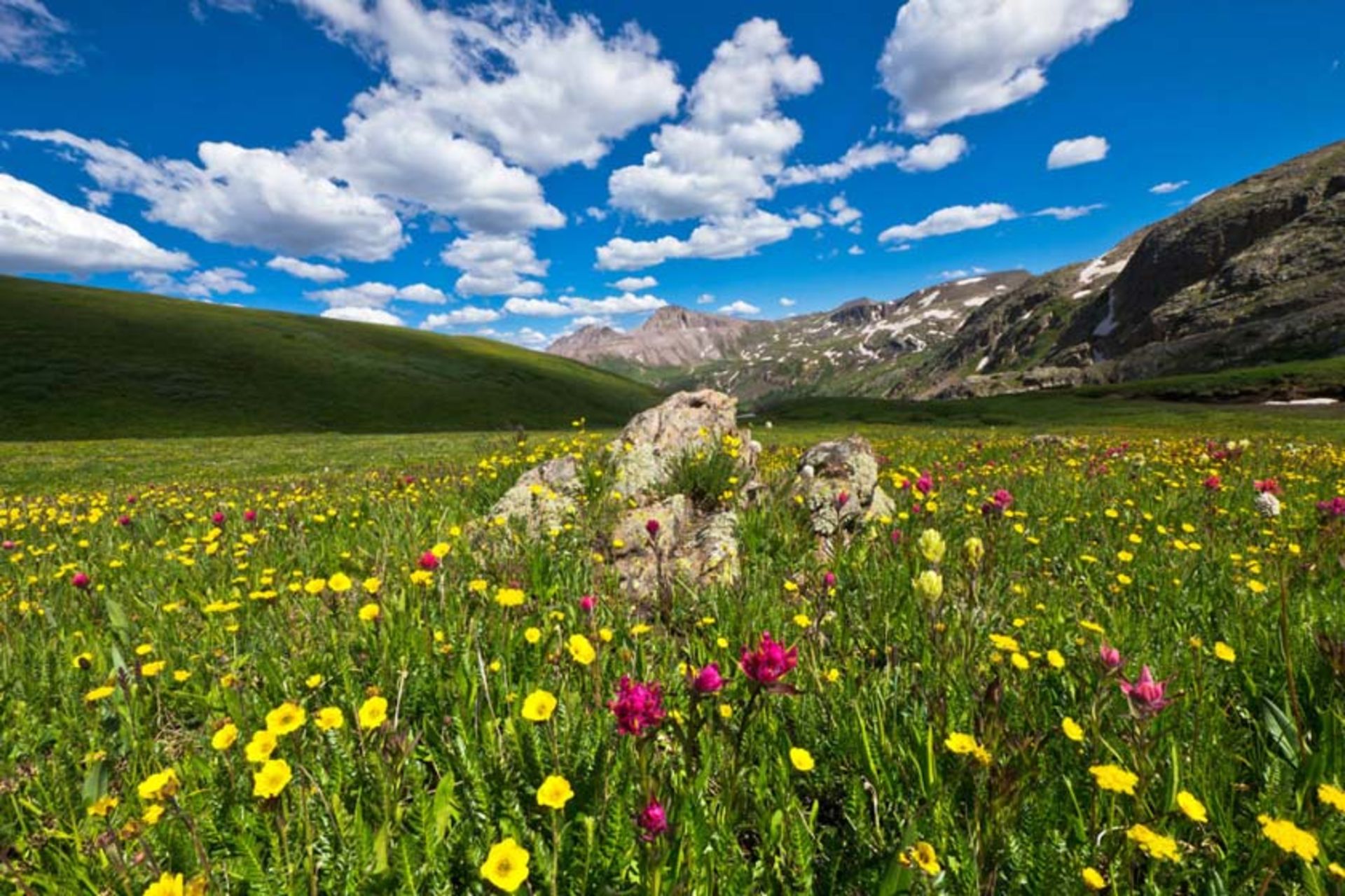 جنگل ملی سن خوآن