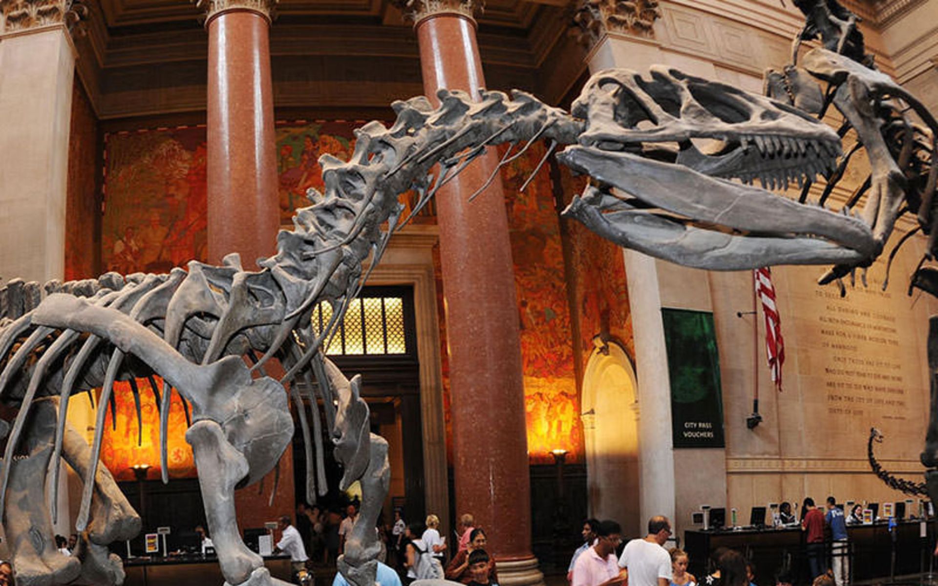 موزه تاریخ طبیعی آمریکا