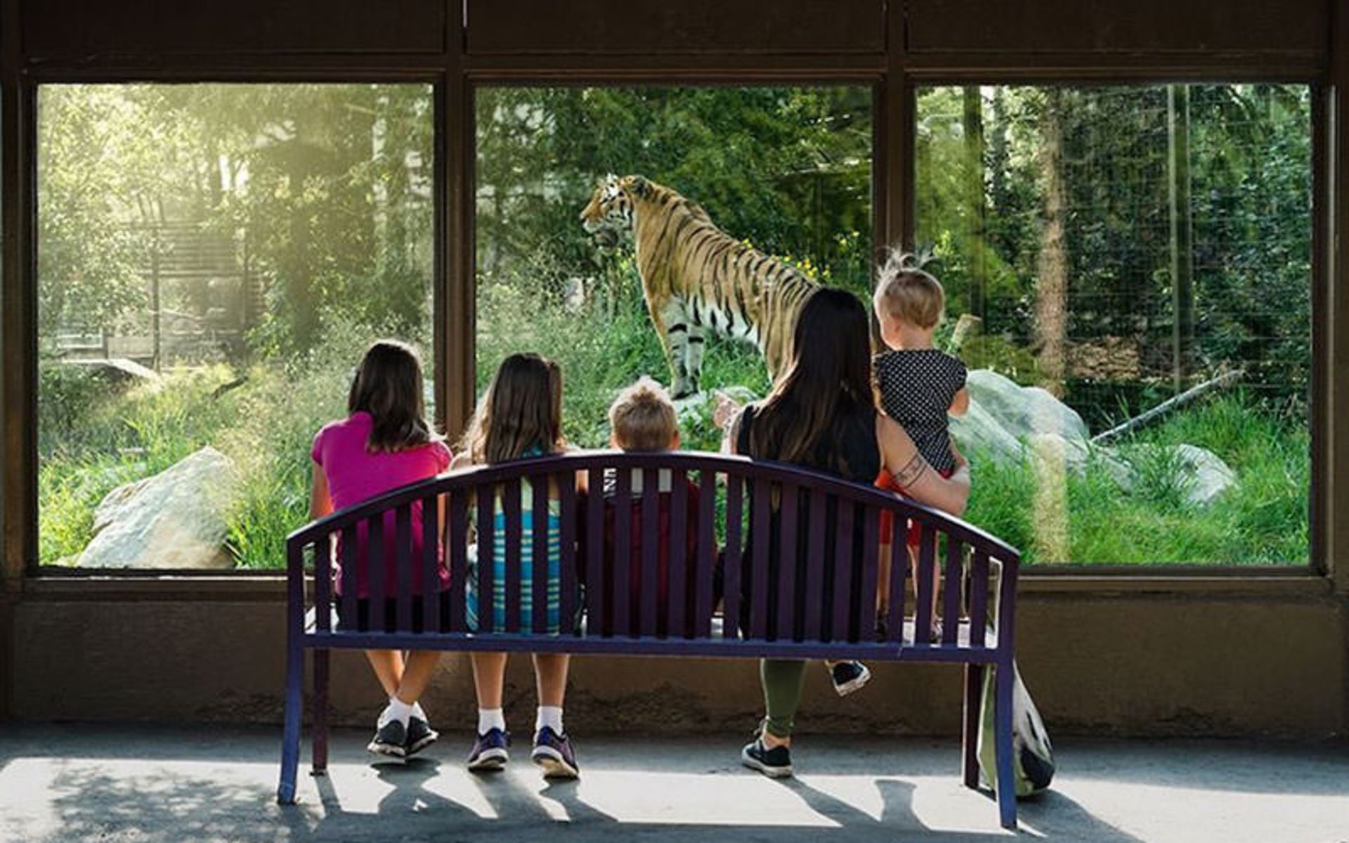 باغ وحش کلگری