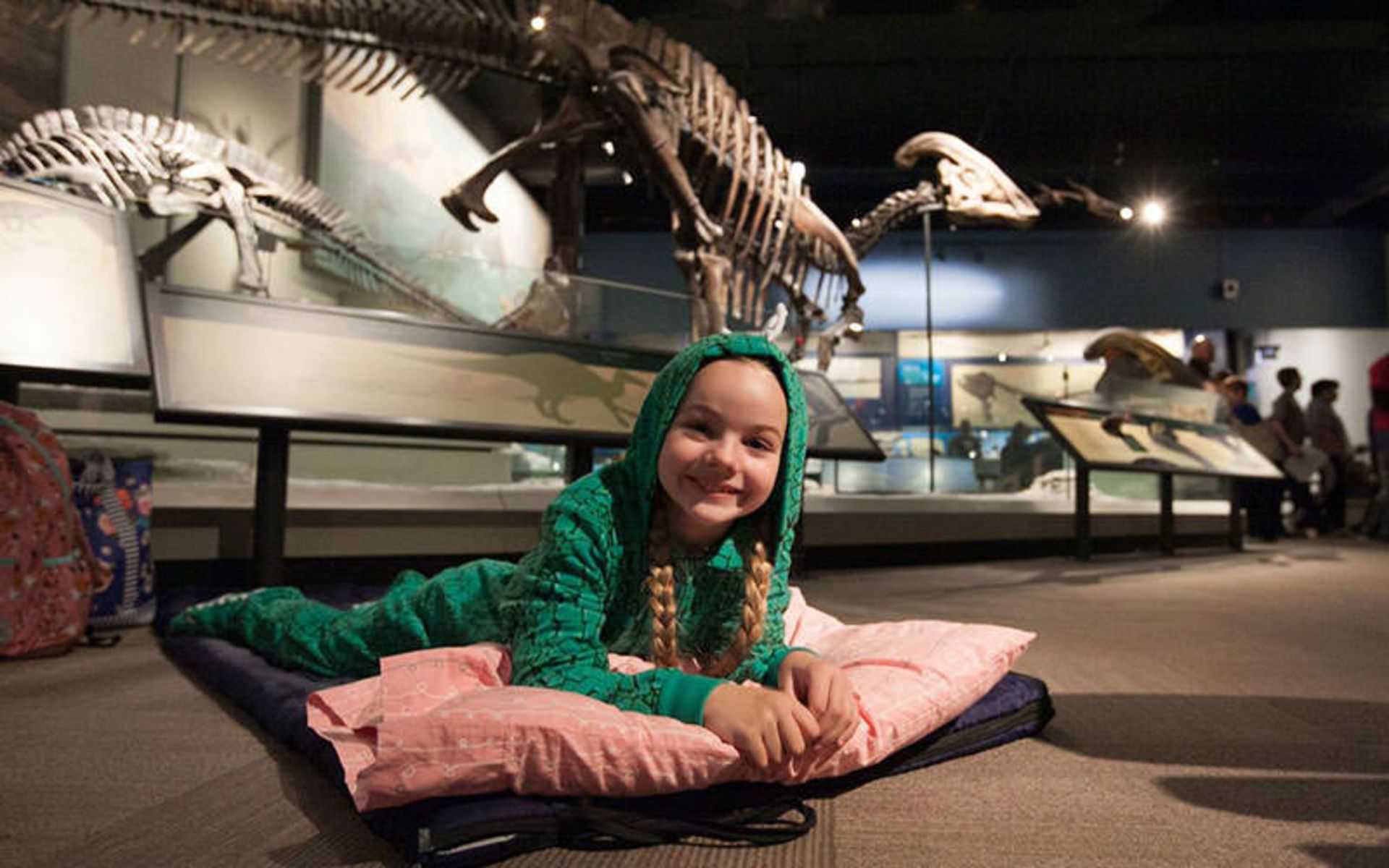 موزه فیلد شیکاگو