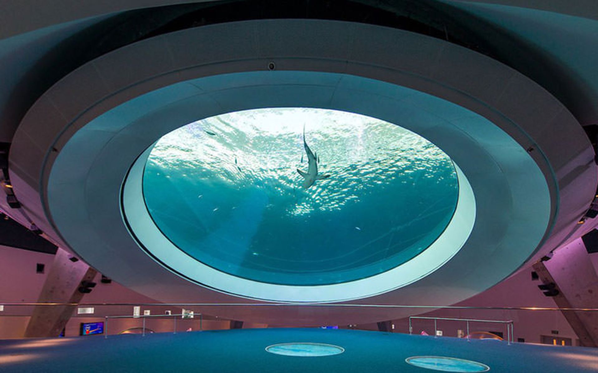 موزه علوم فراست