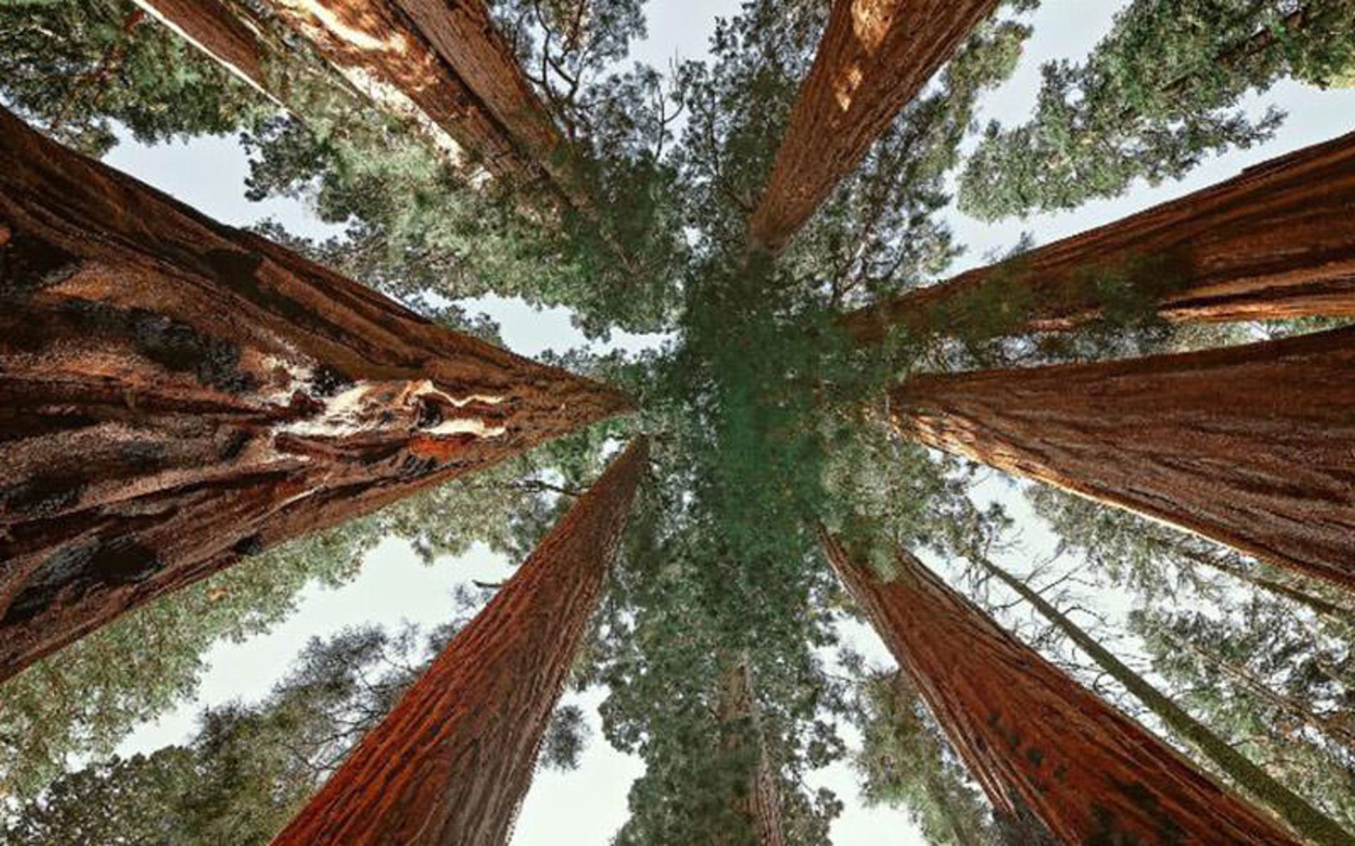 2019-9-be0c6a62-e90f-460a-9576-5427add4c8b7