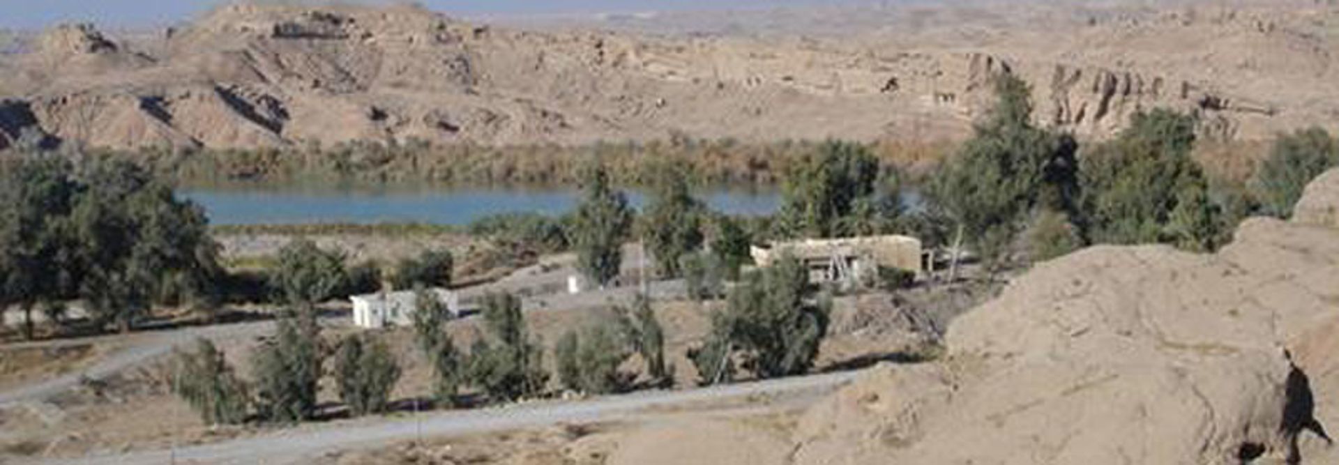 هاوش کوری