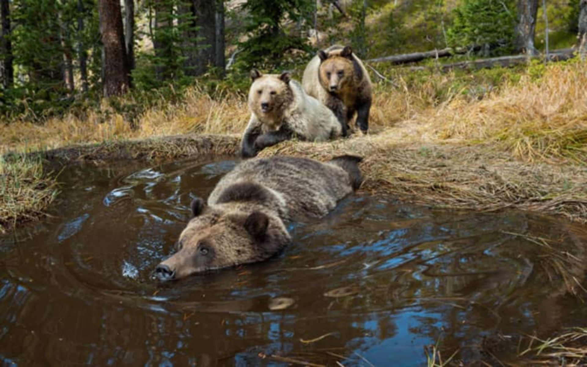 2020-1-0c76c0d5-785f-4c60-a2aa-3ddcc5496599