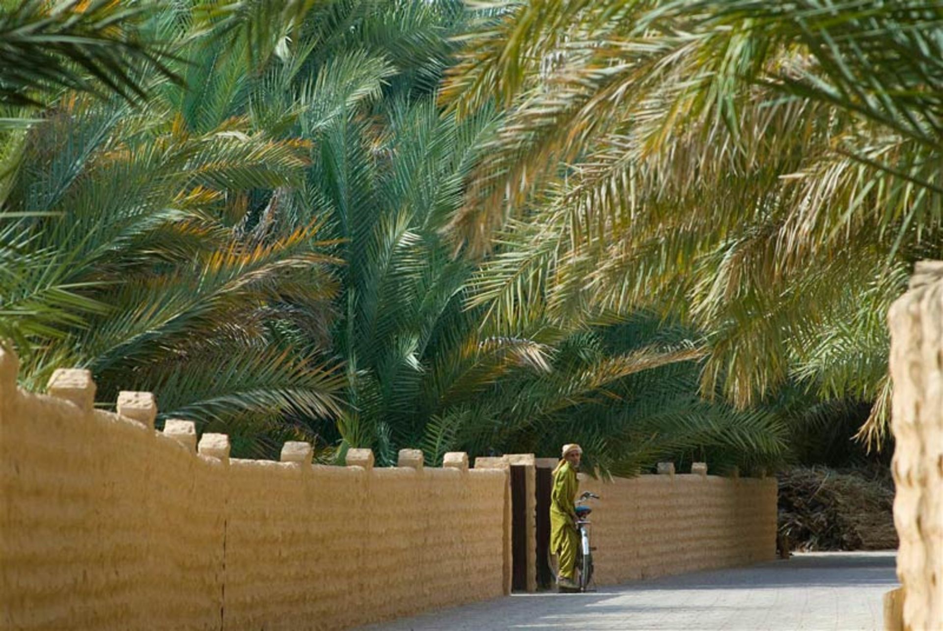 العین