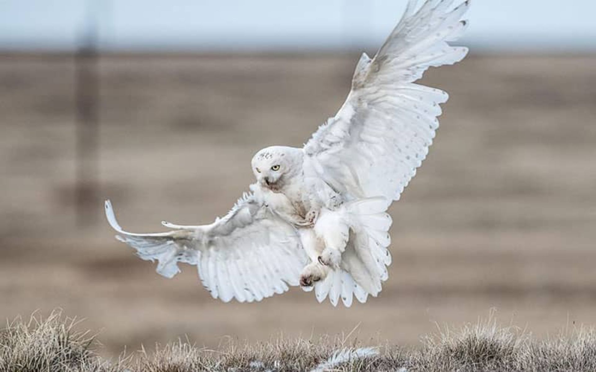 2020-1-1f4c81aa-25c7-45f9-b484-58b58cce4735