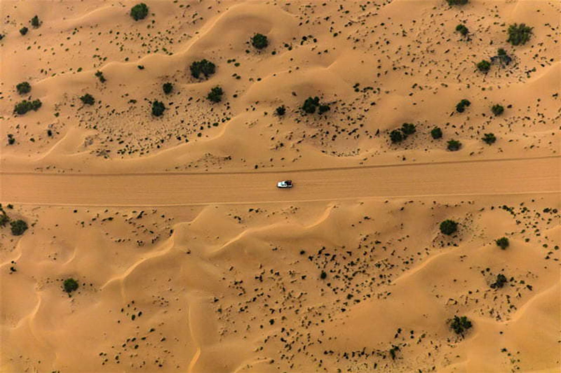  ابوظبی