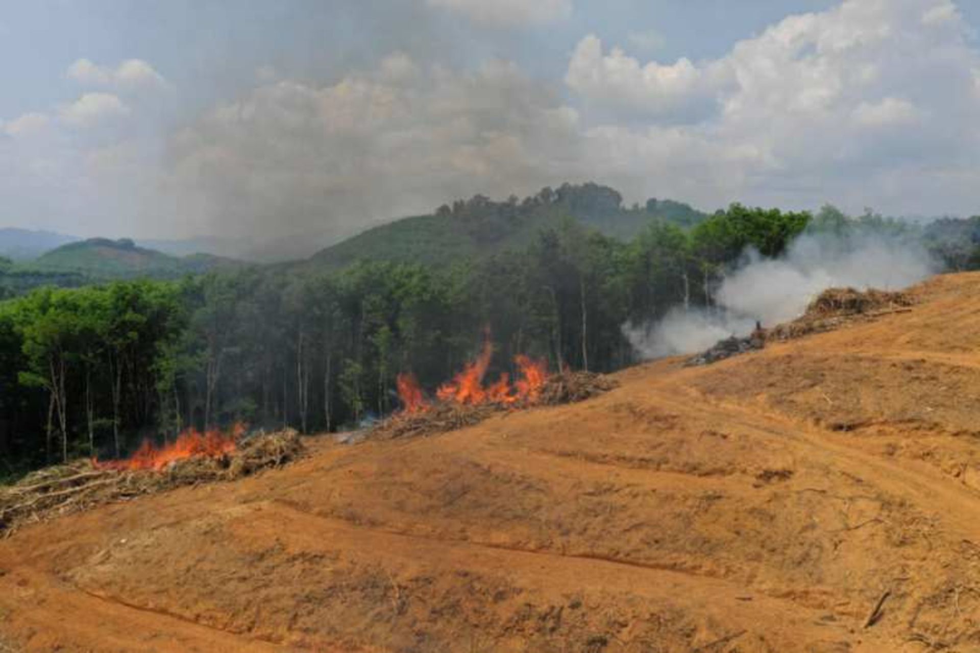 اخبار زیست محیطی