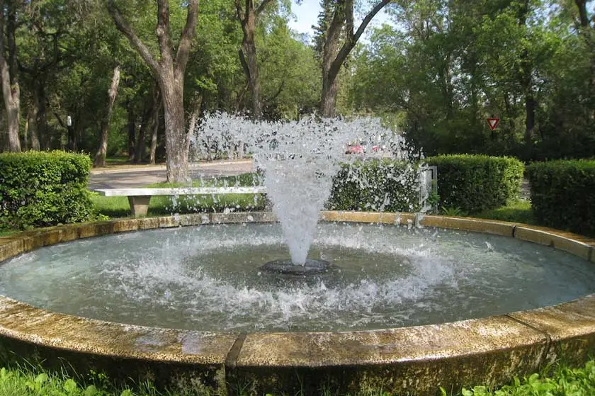 پارک واسکانا سنتر