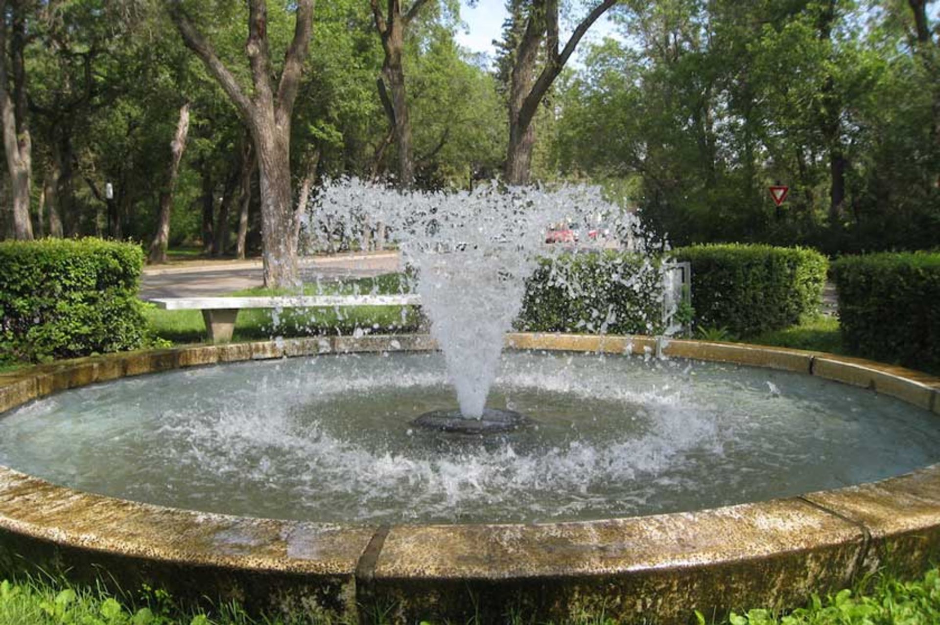 پارک واسکانا سنتر